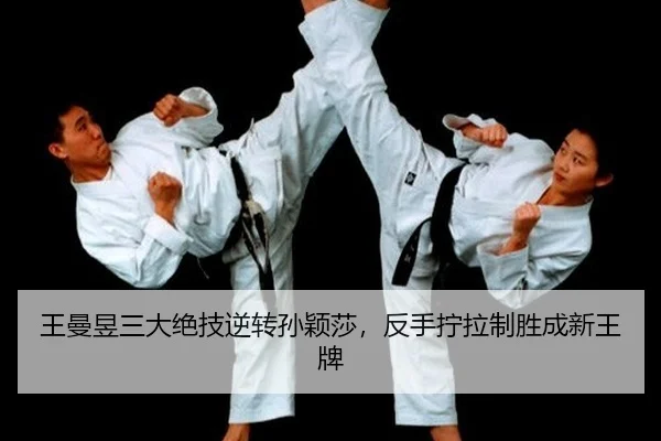 wang-man-yu-san-da-jue-ji-ni-zhuan-sun-ying-sha-fan-shou-ning-la-zhi-sheng-cheng-xin-wang-pai-2-936.jpg